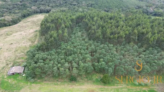 Fazenda/Sítio à venda, 48000m² no , Triunfo