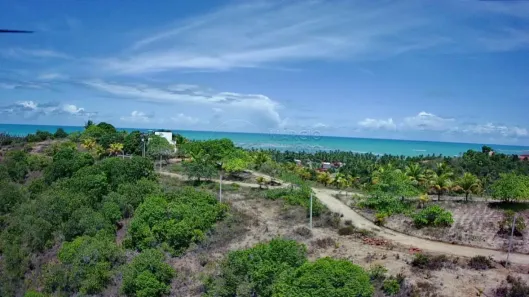 Fazenda/Sítio com 7 Quartos à venda, 274700m² no , Japaratinga
