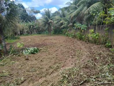 Fazenda/Sítio com 3 Quartos à venda, 5000m² no Aldeia dos Camarás, Camaragibe