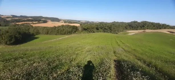 Fazenda/Sítio com 3 Quartos à venda, 120m² no AREA RURAL, Lapa