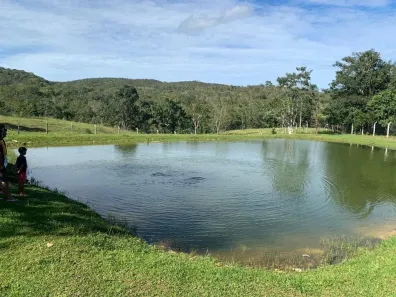 Fazenda/Sítio com 5 Quartos à venda, 15m² no , Jaraguá