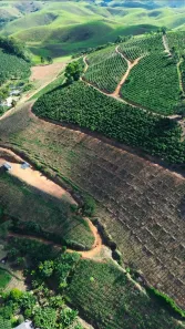 Fazenda/Sítio com 3 Quartos à venda, 92000m² no Guaçuí, Guaçuí