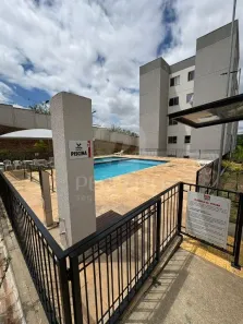 Apartamento com 2 Quartos à venda, 42m² no Jardim das Flores, Hortolândia