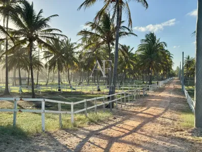 Lote/Terreno à venda, 2690m² no , Feliz Deserto