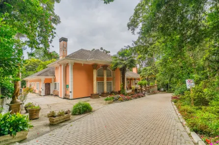 Fazenda/Sítio com 9 Quartos à venda, 42000m² no Roseira, Colombo
