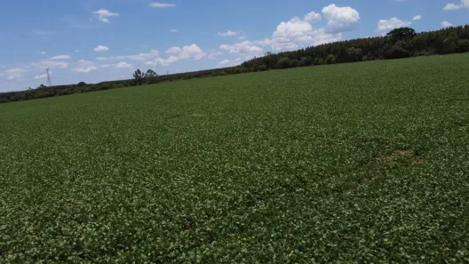 Fazenda/Sítio com 1 Quarto à venda, 411400m² no Área Rural de Itapetininga, Itapetininga