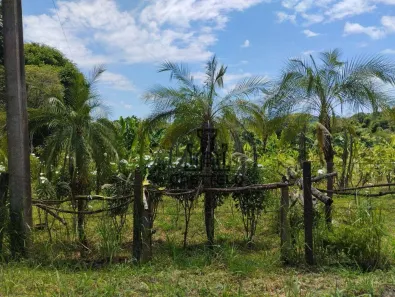 Fazenda/Sítio à venda, 5065m² no , Londrina