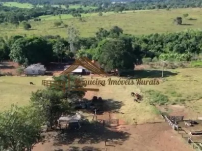 Fazenda/Sítio à venda, 1m² no , Aparecida do Taboado