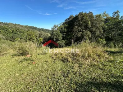 Fazenda/Sítio com 3 Quartos à venda, 200m² no Tucanos, Taquara