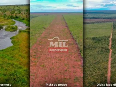 Fazenda/Sítio à venda, 21000m² no , Jaborandi