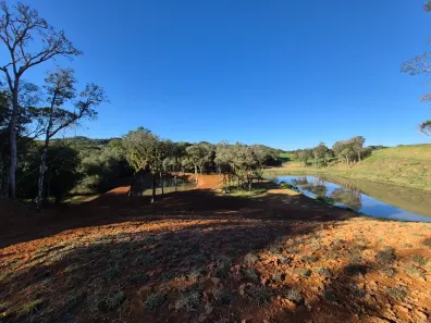 Fazenda/Sítio à venda, 20000m² no , Campo Alegre