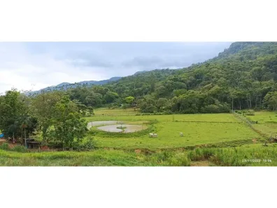 com 2 Quartos à venda, 20000m² no Dona Clara, Timbó