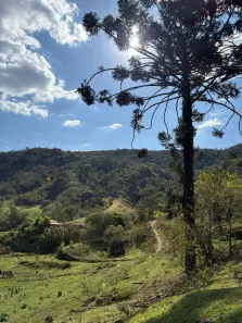 Fazenda/Sítio à venda, 314600m² no Catucaba, São Luiz do Paraitinga