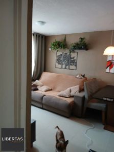 Apartamento com 2 Quartos à venda, 41m² no Sarandi, Porto Alegre