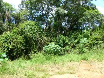 Fazenda/Sítio com 1 Quarto à venda, 20000m² no Ponte Alta, Jarinu