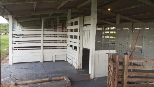Fazenda/Sítio com 4 Quartos à venda, 1137400m² no , Macaubal