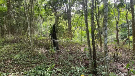Lote/Terreno à venda, 5775m² no , Guaramiranga