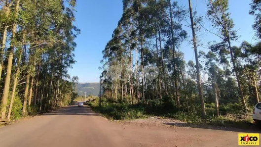 Fazenda/Sítio com 1 Quarto à venda, 5000m² no Pinhal Alto, Nova Petrópolis