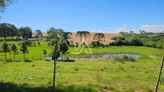 Lote/Terreno à venda, 50000m² no Centro, Passo Fundo