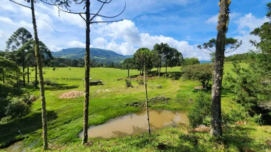 Fazenda/Sítio à venda, 330m² no , Bocaina do Sul