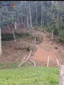 Lote/Terreno à venda, 400m² no Praia do Itamambuca, Ubatuba