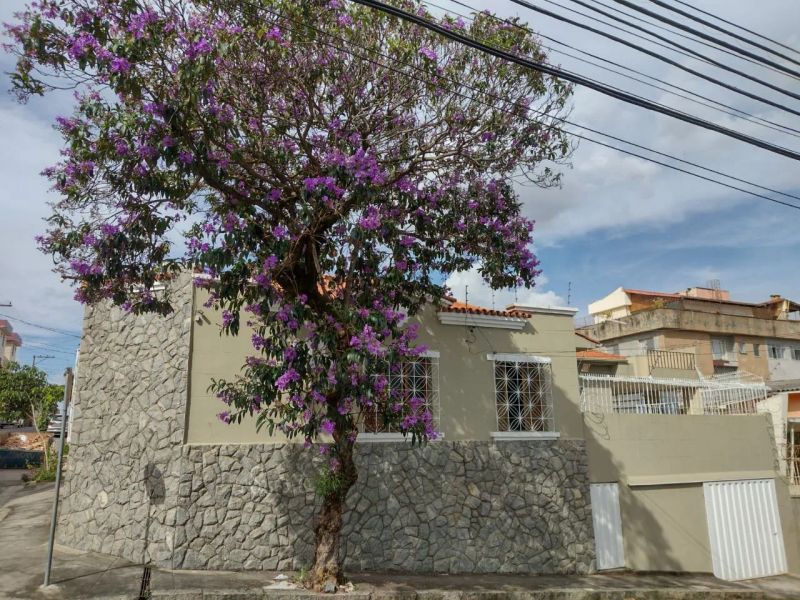 Casa com 4 quartos — Carlos Prates, Belo Horizonte