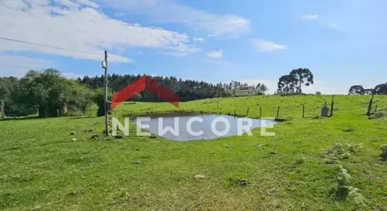 Fazenda/Sítio com 3 Quartos à venda, 510000m² no Fazenda Souza, Caxias do Sul