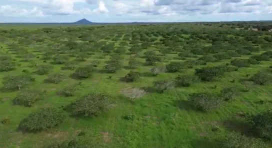 à venda, 1m² no , Aracoiaba