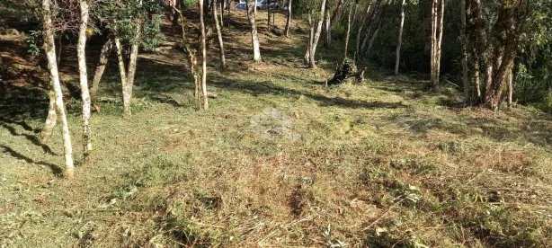 Lote/Terreno à venda, 811m² no Nova Petrópolis, Nova Petrópolis