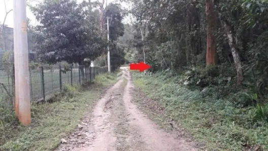 Lote/Terreno à venda, 515m² no Jardim Santa Paula, Cotia