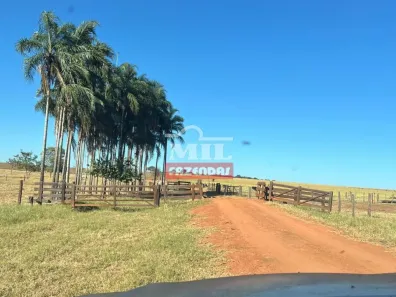 Fazenda/Sítio à venda, 500m² no , Quirinópolis