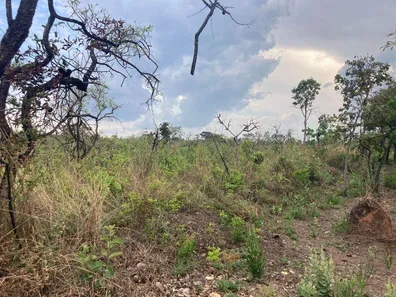 Lote/Terreno à venda, 20000m² no Paranoá, Brasília