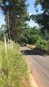 Lote/Terreno à venda, 16000m² no Chácara Jaguari (Fazendinha), Santana de Parnaíba