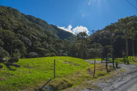 Fazenda/Sítio à venda, 84000m² no , Bom Retiro