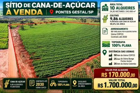 Fazenda/Sítio à venda, 242000m² no Centro, Pontes Gestal