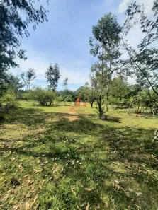 Fazenda/Sítio à venda, 20m² no Vicentina, São Leopoldo