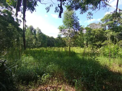 Fazenda/Sítio com 1 Quarto à venda, 8425m² no , Gramado
