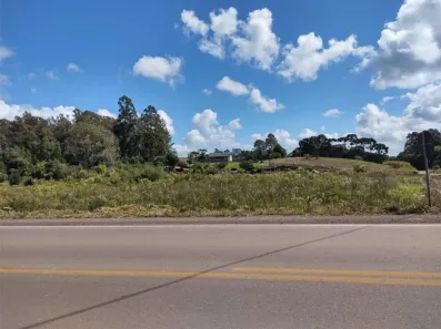 Lote/Terreno à venda, 10000m² no Forqueta, Caxias do Sul