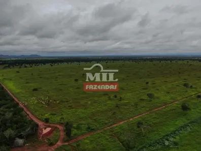 Fazenda/Sítio à venda, 500m² no , Porangatu