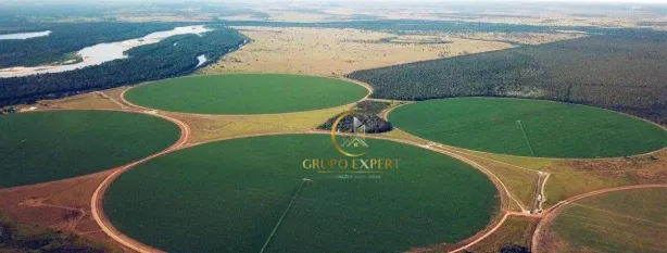 Fazenda/Sítio com 4 Quartos à venda, 53869200m² no , Jussara