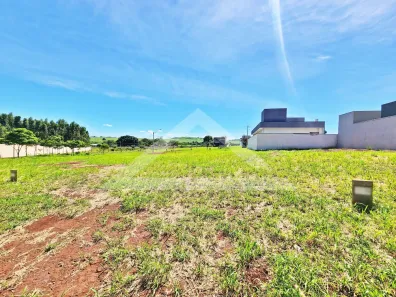 Lote/Terreno à venda, 251m² no Quinta da Mata, Ribeirão Preto