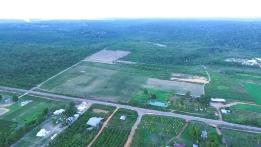 Fazenda/Sítio com 3 Quartos à venda, 6500000m² no , Presidente Figueiredo