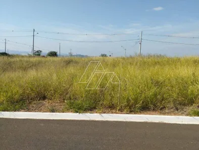 Lote/Terreno à venda, 160m² no Antenor Barion, Marília