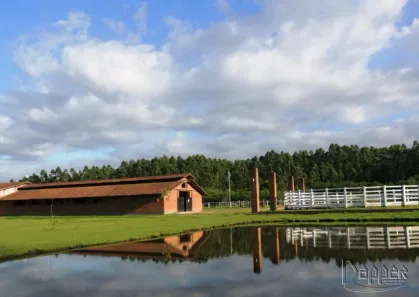 Fazenda/Sítio com 1 Quarto à venda, 700m² no Centro, Portão