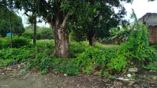 Lote/Terreno à venda, 1000m² no Cidade Universitária, Maceió