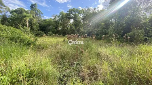 Lote/Terreno à venda, 218m² no Rainha, Itapoá