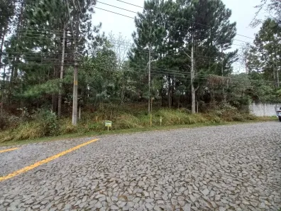 Lote/Terreno à venda, 2510m² no Paisagem Renoir, Cotia