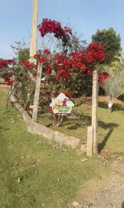 Fazenda/Sítio com 2 Quartos à venda, 400m² no Chácaras Fernão Dias, Atibaia