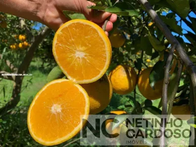 Fazenda/Sítio com 4 Quartos à venda, 290000m² no , Tanguá