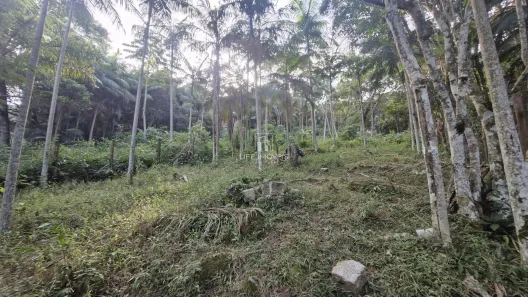 Lote/Terreno à venda, 630m² no , Garopaba